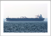 MINERVA LIBRA        9317951 
